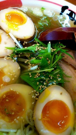 実食麺：煮卵らぁめん＠伊藤家の食卓